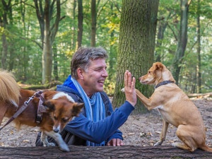 Hundetrainer Stefan Thal - Trainingsmethode - 2