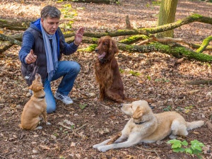 Hundetrainer Stefan Thal - Trainingsmethode - 1