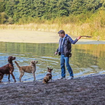 Hundetrainer Stefan Thal - 5