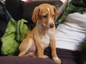Lotte mit 3 Monaten