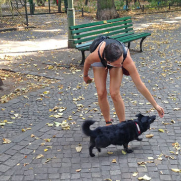 Hundetrainer Stefan Thal - "Lina" - 2
