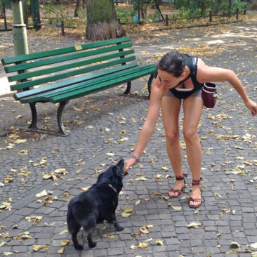 Hundetrainer Stefan Thal - "Lina" - 4