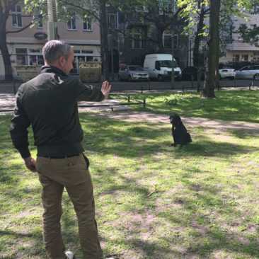 Hundetrainer Stefan Thal - "Sirah" - 3
