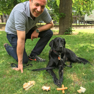 Hundetrainer Stefan Thal - "Sirah" - 1