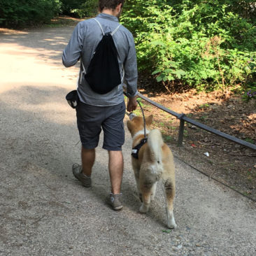 Hundetrainer Stefan Thal - "Fudo" - 3