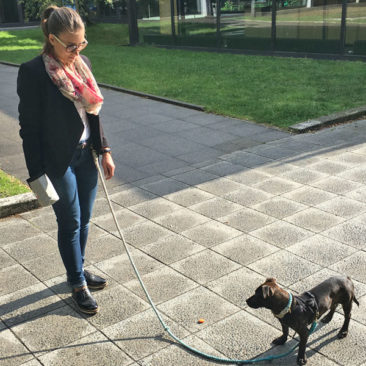 Hundetrainer Stefan Thal - "Nala" - 3