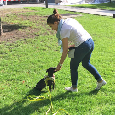 Hundetrainer Stefan Thal - "Nala" - 1