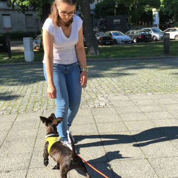 Hundetrainer Stefan Thal - "Nala" - 6