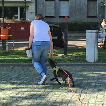 Hundetrainer Stefan Thal - "Nala" - 5