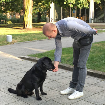 Hundetrainer Stefan Thal - "Fritz" - 5