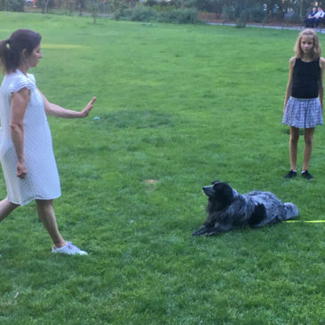 Hundetrainer Stefan Thal - "Sally" - 5