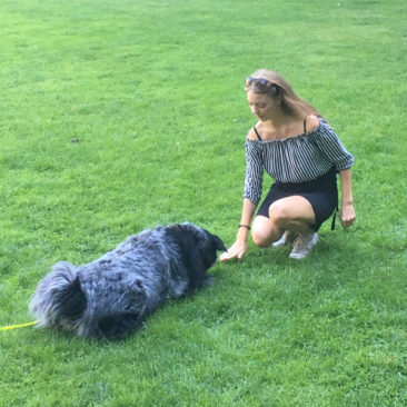 Hundetrainer Stefan Thal - "Sally" - 6