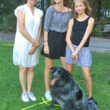 Hundetrainer Stefan Thal - "Sally" - 7