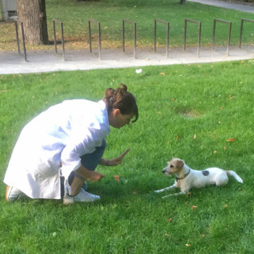 Hundetrainer Stefan Thal - "Bones" - 5