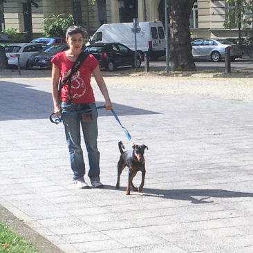 Hundetrainer Stefan Thal - "Lucy" - 2