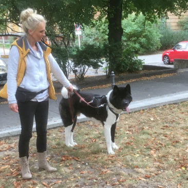 Hundetrainer Stefan Thal - "Pizarro" - 7