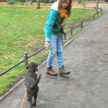 Hundetrainer Stefan Thal - "Bruno" - 9