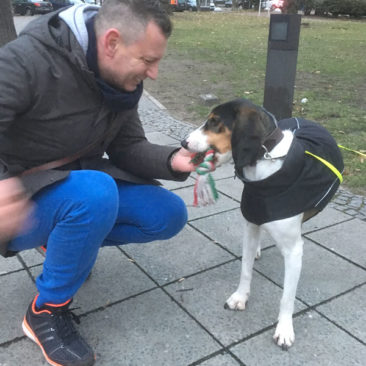 Hundetrainer Stefan Thal - "Julius" - 1