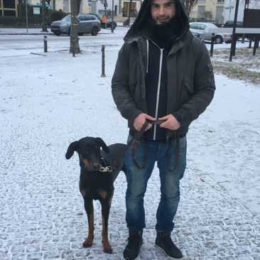 Hundetrainer Stefan Thal - "Drogo" - 1