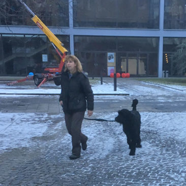 Hundetrainer Stefan Thal - "Danny" - 3