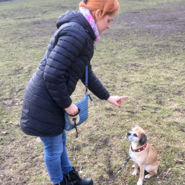 Hundetrainer Stefan Thal - "Lilly-2" - 5