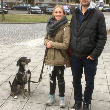 Hundetrainer Stefan Thal - "Scuby" - 2