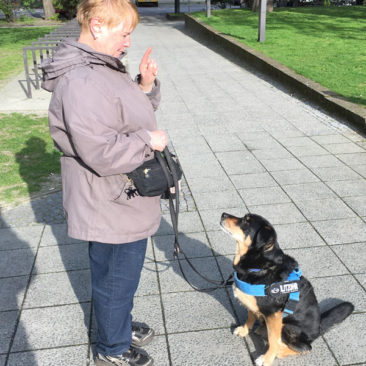Hundetrainer Stefan Thal - "Nono" - 2
