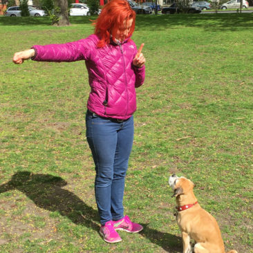 Hundetrainer Stefan Thal - "Lilly" - 1