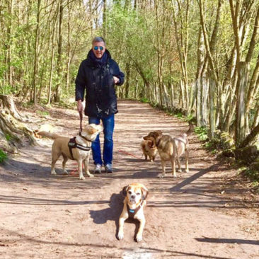 Hundetrainer Stefan Thal - "Lilly-2" - 6