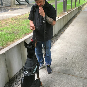Hundetrainer Stefan Thal - Sven - 15
