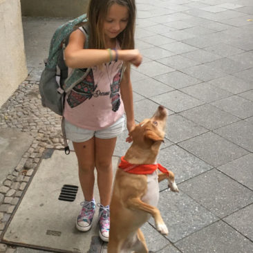 Hundetrainer Stefan Thal - "Lotte" - 29