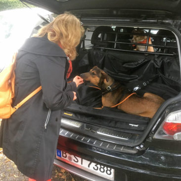 Hundetrainer Stefan Thal - "Gaïa" - 4
