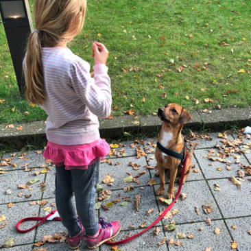 Hundetrainer Stefan Thal - "Pilu" - 1