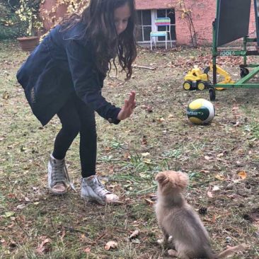 Hundetrainer Stefan Thal „Chilli" - 4