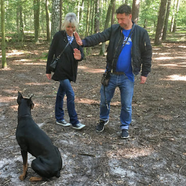 Hundetrainer Stefan Thal - Sven - 5