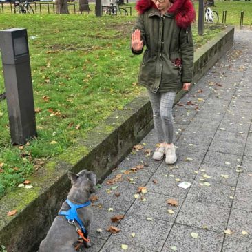 Hundetrainer Stefan Thal - "Lenni" - 5