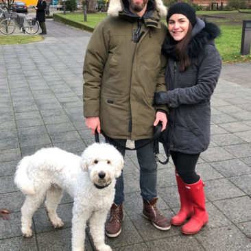Hundetrainer Stefan Thal - "Henry" - 3