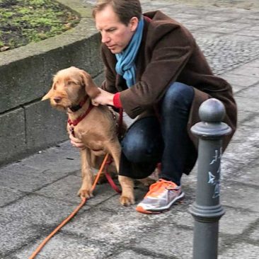 Hundetrainer Stefan Thal - "Lou" - 4