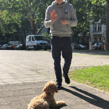 Hundetrainer Stefan Thal - "Teddy" - 1