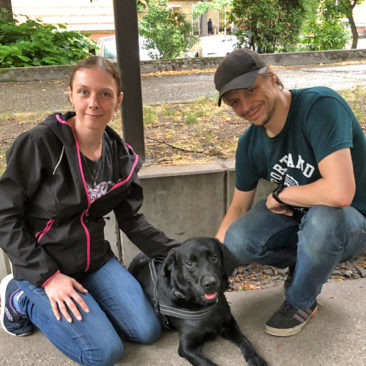 Hundetrainer Stefan Thal - "Balou" - 1