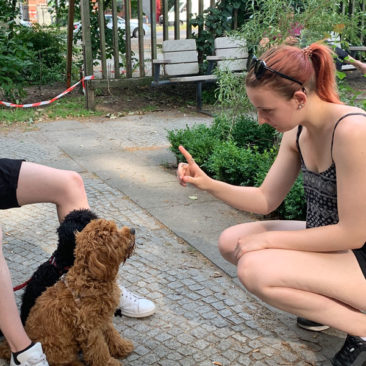 Hundetrainer Stefan Thal - "Muffin+Peanut" - 3
