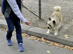 								 								 								 								 								 								 								 								 								 								 								 								 								 								 								 								 								 								 								 								 Hundetrainer Stefan Thal - Junghundetraining					 								 								 								 								 								 								 								 								 																																																												