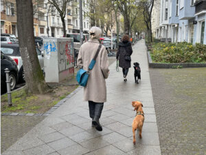 								 								 								 								 								 								 								 								 								 								 								 								 								 								 								 Hundetrainer Stefan Thal - Junghundetraining					 								 								 								 								 								 								 								 								 																																																		