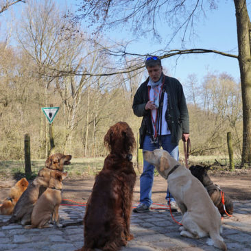 Hundetrainer Stefan Thal „dogwalken" - 33