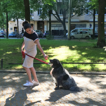Hundetrainer Stefan Thal - "Sally" - 2