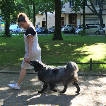 Hundetrainer Stefan Thal - "Sally" - 3