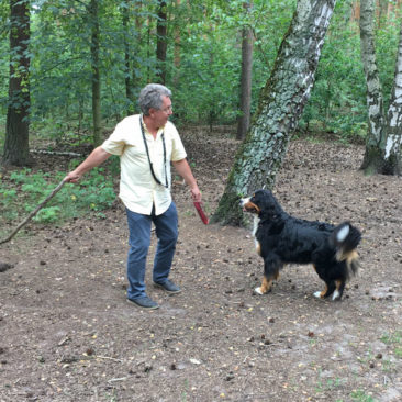 Hundetrainer Stefan Thal - "Ginny" - Futtertaschentraining -2