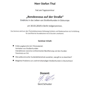 Hundetrainer Stefan Thal - Seminar Straßenhunde