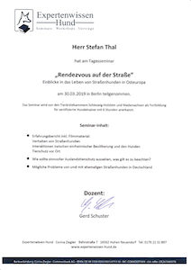 Hundetrainer Stefan Thal - Seminar Straßenhunde